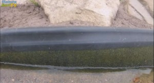 Mit dem neuen Uferband kann man perfekt jeden Teich gestalten. 