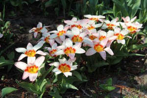 Langsam wird es bunt