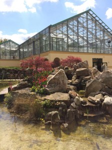 Mittelpunkt des NaturaGart Teichtreffs: die Palmen-Halle mit 1500qm Fläche