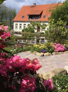 Die Teichlandschaft im NaturaGart Park ist ein ideales Set für unsere Feste