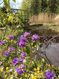 Blühende Teichufer und lauschige Eckchen kann man beim Rundgang durch den Park erleben