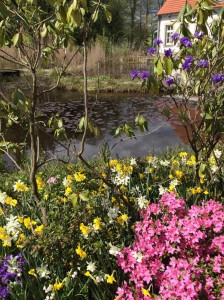 Blühende Teichufer und lauschige Eckchen kann man beim Rundgang durch den Park erleben