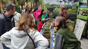 Das Sommerfest kombiniert Natur-Erholung und Teich-Information