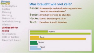 Verglichen mit anderen Möglichkeiten der Gartengestaltung schneidet ein Teich sehr gut ab