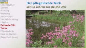 Gewusst wie: Dieser Gartenteich aus dem NaturaGart-Park hält seit 15 Jahren sein Nährstoff-Niveau