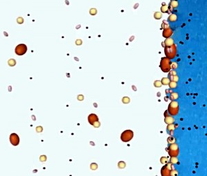 Ein zu feiner Filterschaum verstopft schnell und ist unwirksam.