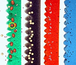 Viel efektiver ist es, verschieden grobe Filterschäume hintereinander zu schalten.