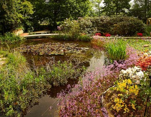 Teichbiologie, Wasserchemie, Algenvermeidung sind Themen des Seminars.