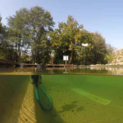 Gartenteich, Schwimmteich, Fischteich, Naturteich zum SelberBauen