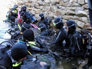 Schnuppertauchen bei NaturaGart: Tauchen - das letzte grosse Abenteuer.  Der Tauchgutschein ist auch als Geschenk geeignet.