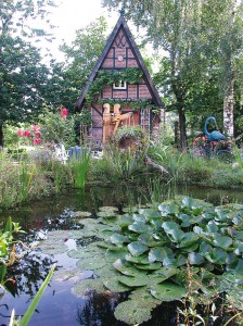 Dieses Beispiel zeigt, wie eine Seerose den Teich auch ersticken kann. Ein Rückschnitt ist keine einfache Aufgabe