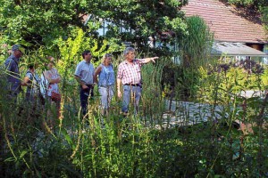 Die Teichbau-Seminare von NaturaGart sind von einem Teich nie weit entfernt - hier mit Norbert Jorek.