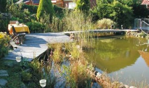 Steg am Teich von Naturagart