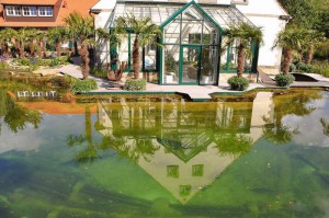 Wintergarten und Schwimmteich