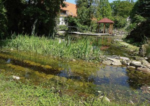 Gartenteich mit Brücke