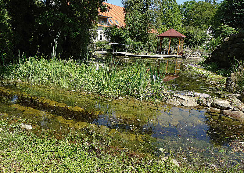 Teiche planen, bauen, pflegen Tipp 4 Gartenteich, Gartenteich