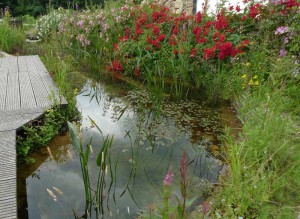 Gartenteich mit Steg