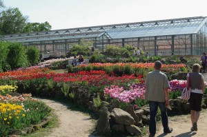 Der Park hat sich aus der Idee eines Freilandlabors entwickelt. Mittlerweile besuchen über 100.000 Gäste den Park jährlich.