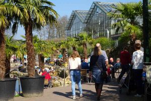 Palmen-Halle: Es gibt Beratugnsstände draußen oder trocken in der Palmenhalle.