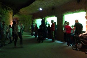 Teich-Aquarium: Besucher können riesige Störe bestaunen.