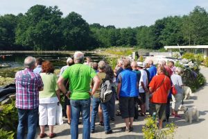 Es gibt viele Wege zu einem Teich. Manche haben sich bewährt, andere nicht. Tipps, was funktioniert, bieten z.B. Teichseminare.