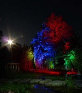 Dramatisch inszenierter Garten mit indirekt eingesetztem Licht