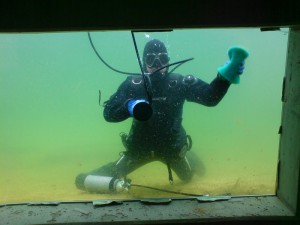 Teichfenster putzen für den neuen Beluga Stör im NaturaGart Park