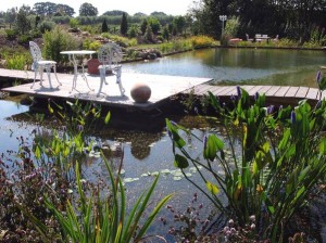 NaturaGart Teichfolie und Sicherung