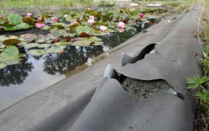 Weder durch optische noch durch haptische Kontrolle lassen sich Teichfolie voneinander unterscheiden.