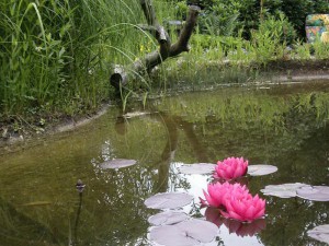 Ein schöner Teich bildet den Mittelpunkt des Gartens