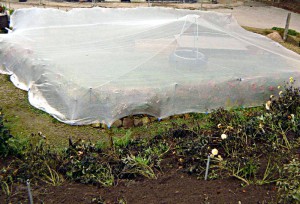 Teichnetz, von Schwimmstütze hochgehalten, über einen Gartenteich gespannt