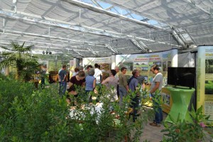 An den Infoständen in der Palmenhalle werden den Messebesuchern verschiedene Themenbereiche erklärt.