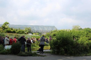 Praxisnahes werden auf der Messe Teichbau und Teichpflege erläutert.