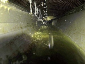 Der Trommelfilter reinigt bis zu 150 m³ Wasser pro Stunde