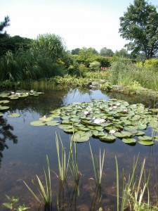 trueben-teich-vermeiden-1-naturagart