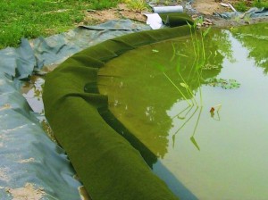 Teiche planen, Bauen, pflegen - Tipp Ufermatte auf der Teichfolie