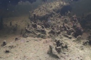 Verrotendes Sediment auf dem Grund des Gartenteiches