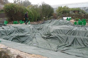 Teichfolie in Grube verlegen