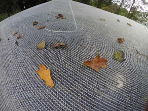 Laubschutznetz von oben