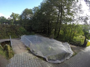 Teich mit Laubschutz-Netz