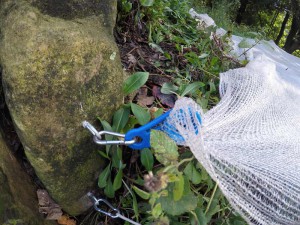 Befestigung des Blattnetzes am Ufer
