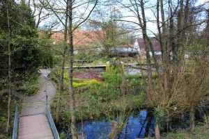 Die Webcam 15 blickt auf das Café Seerose.
