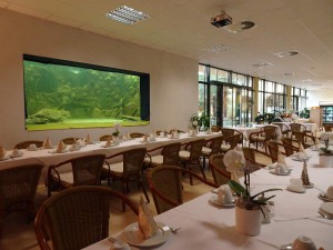 Festlich eingedeckte Tische